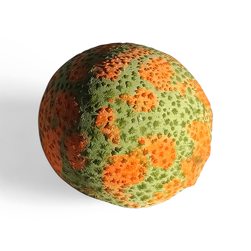 Spring Orange/Green egg painting with Alembic Books